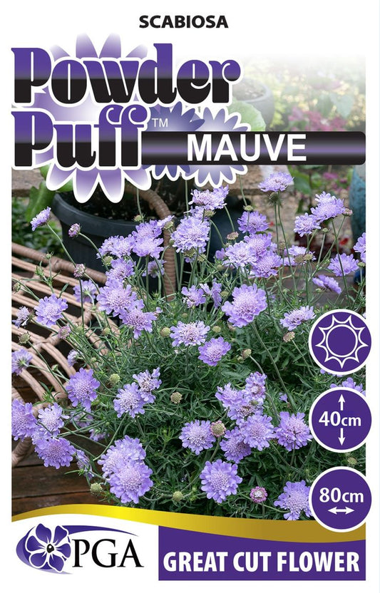 Scabiosa ‘POWDER PUFF™ Mauve’