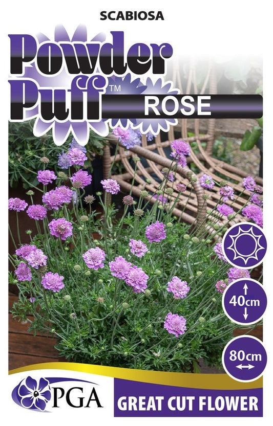 Scabiosa ‘POWDER PUFF™ Rose’