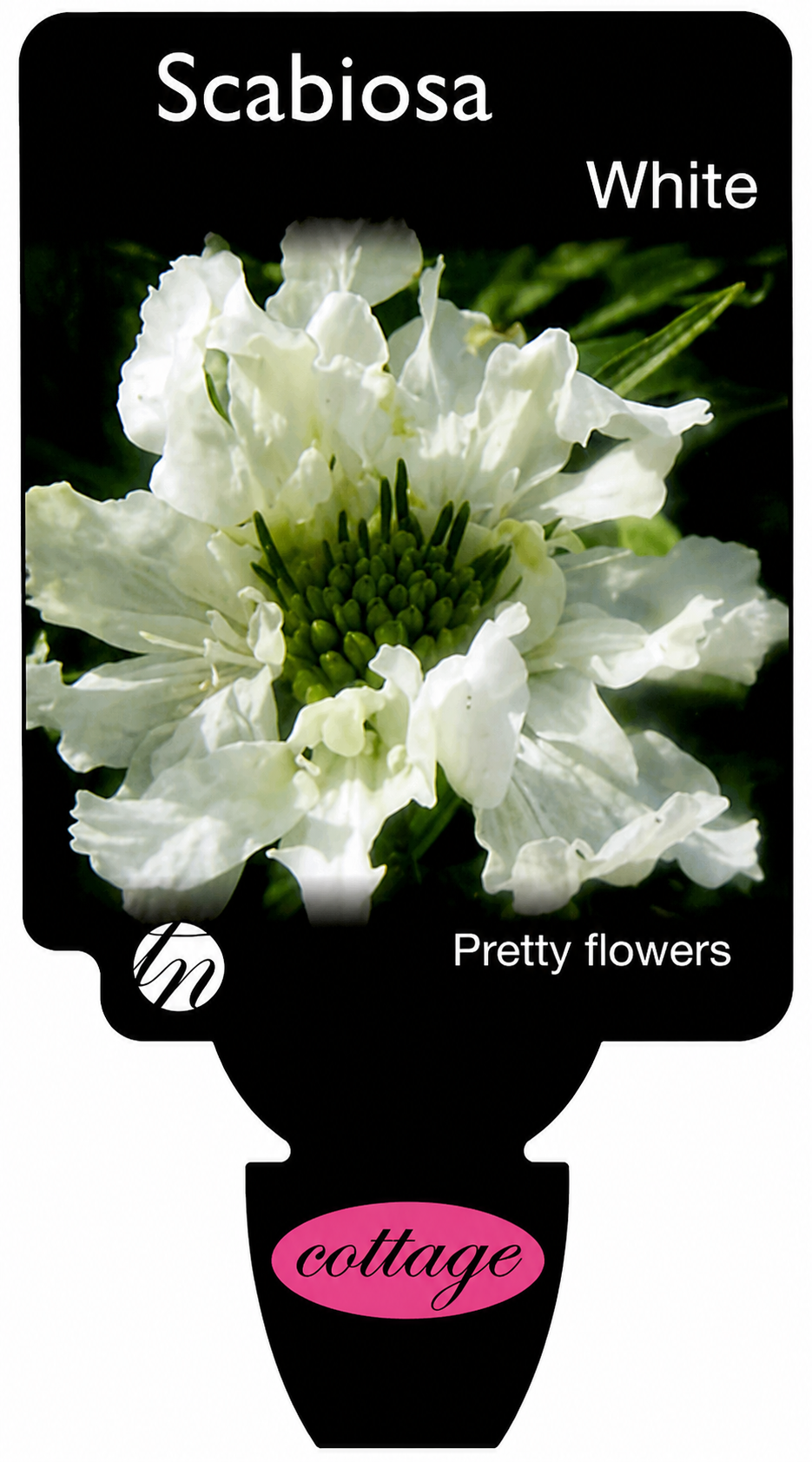 the plant broker