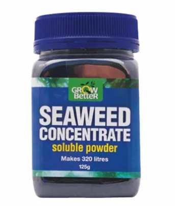 Seaweed Concentrate Powder
