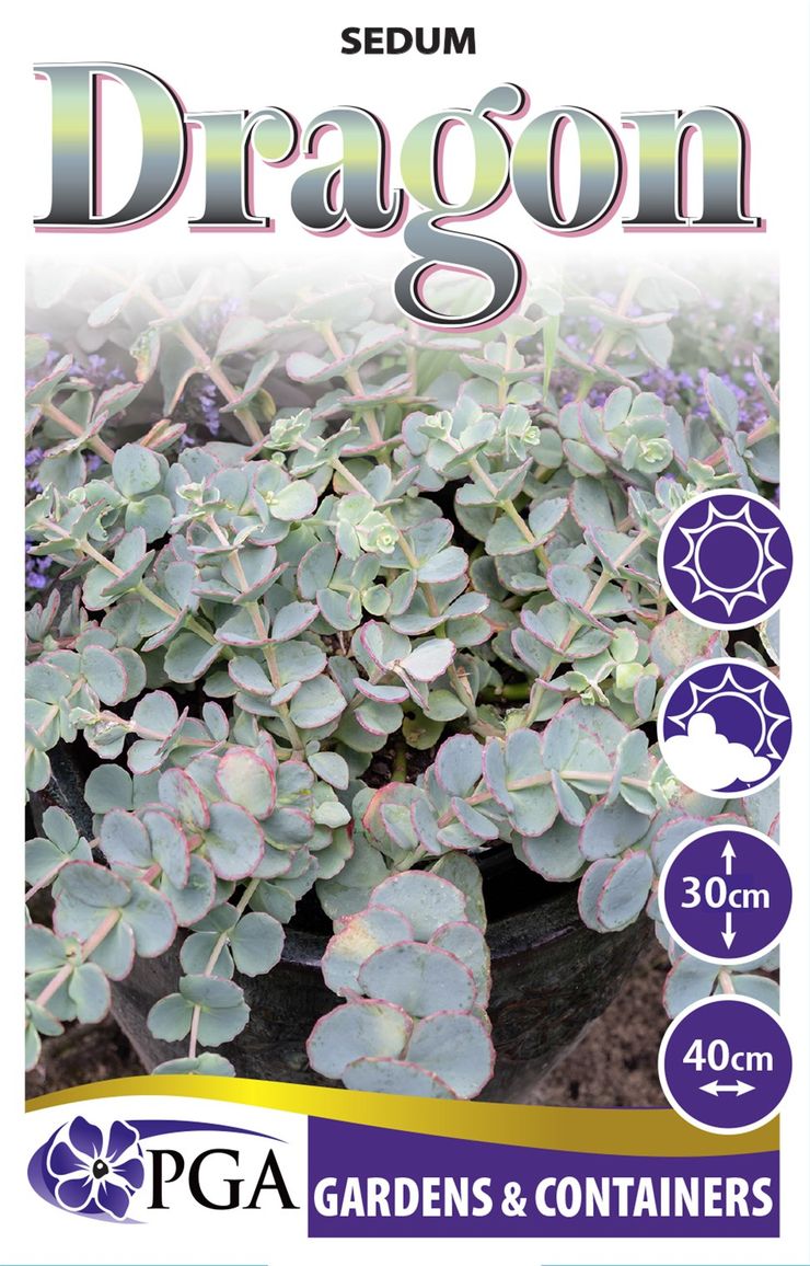 the plant broker