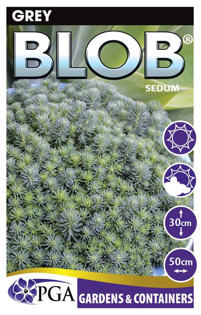 Sedum ‘Grey BLOB®’