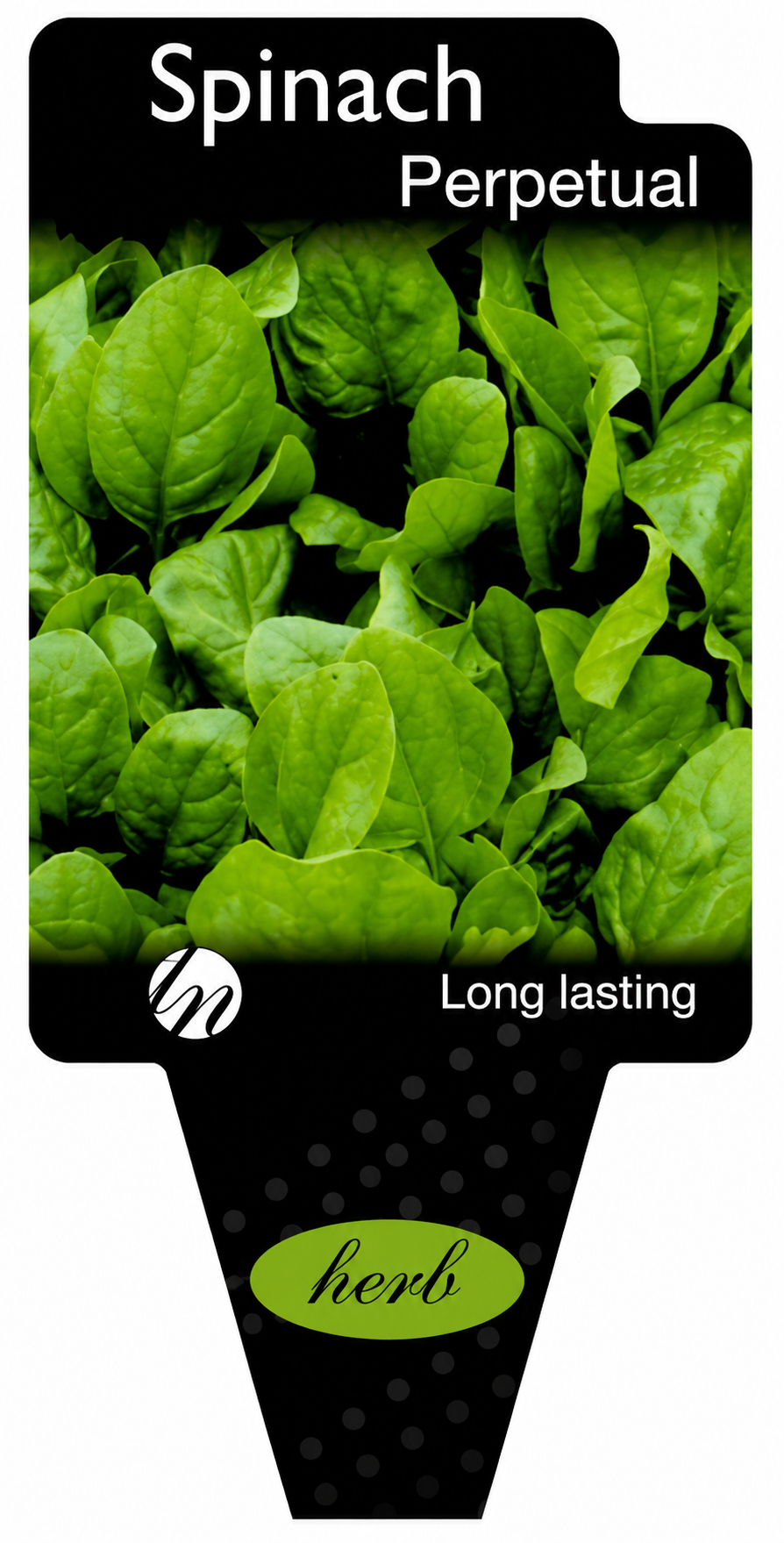 the plant broker