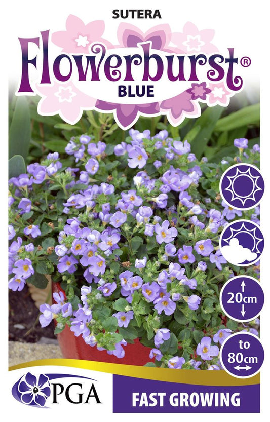 Sutera ‘FLOWERBURST® Blue’