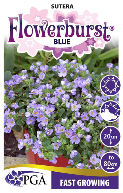 Sutera ‘FLOWERBURST® Blue’