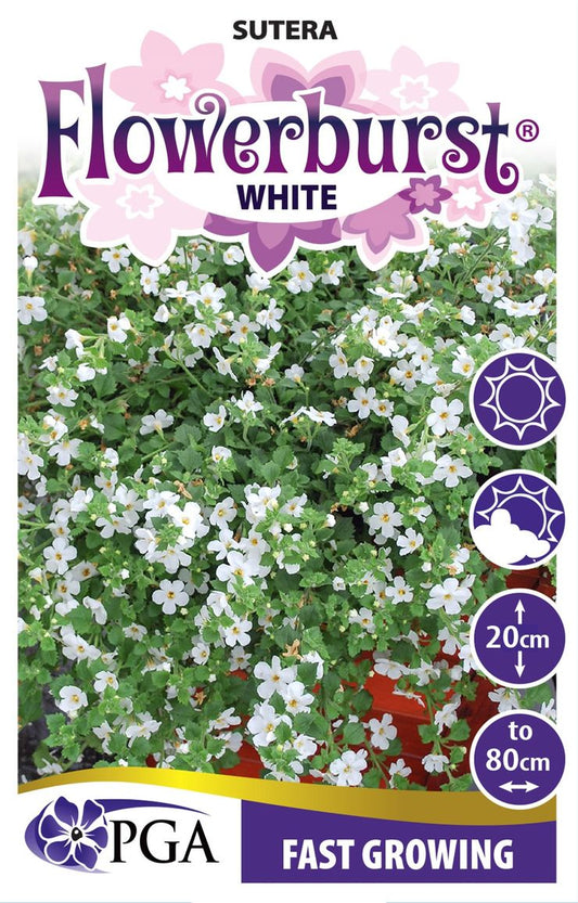 Sutera ‘FLOWERBURST® White’