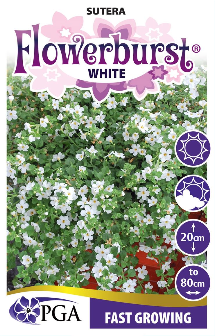 the plant broker