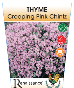 Thyme - Pink Chintz Thymus serphyllum