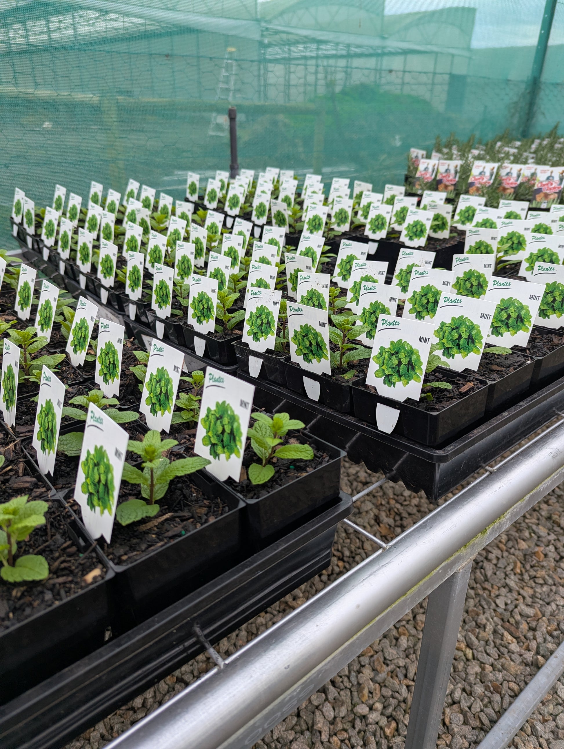 the plant broker